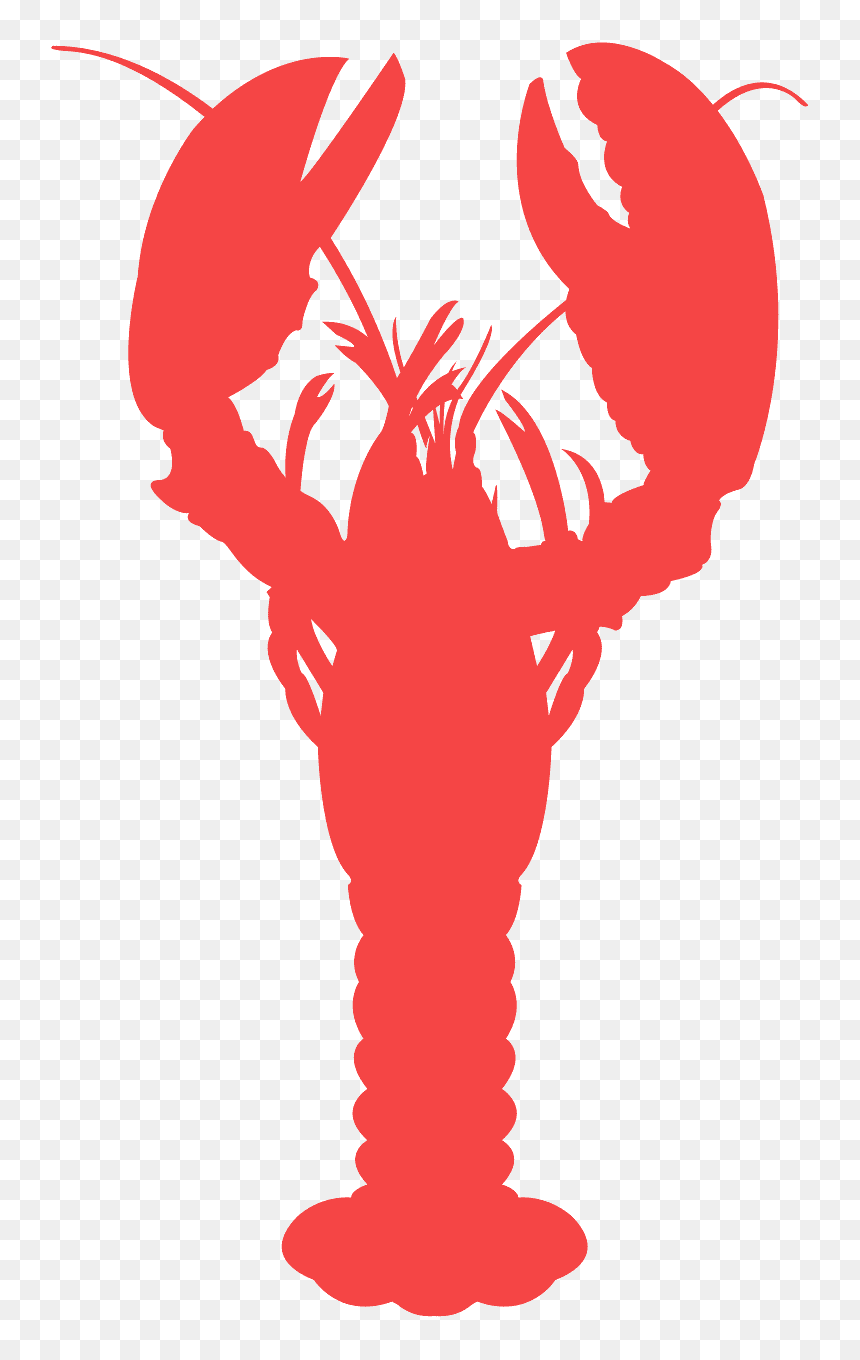 Diversity Of Multicellular Life Answers, HD Png Download - crab silhouette png