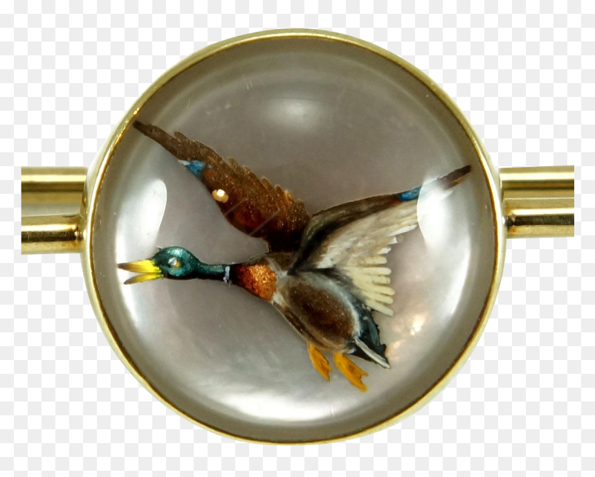 Mallard, HD Png Download - mallard duck png