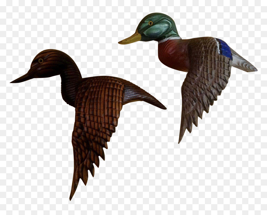 Folk Art, HD Png Download - mallard duck png