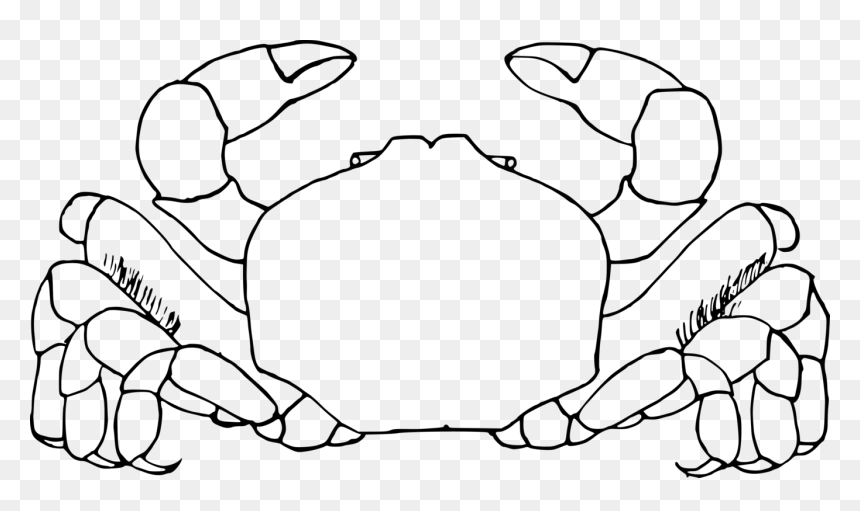 Art,symmetry,monochrome Photography - Crab Clip Art Black And White, HD Png Download - crab clipart png