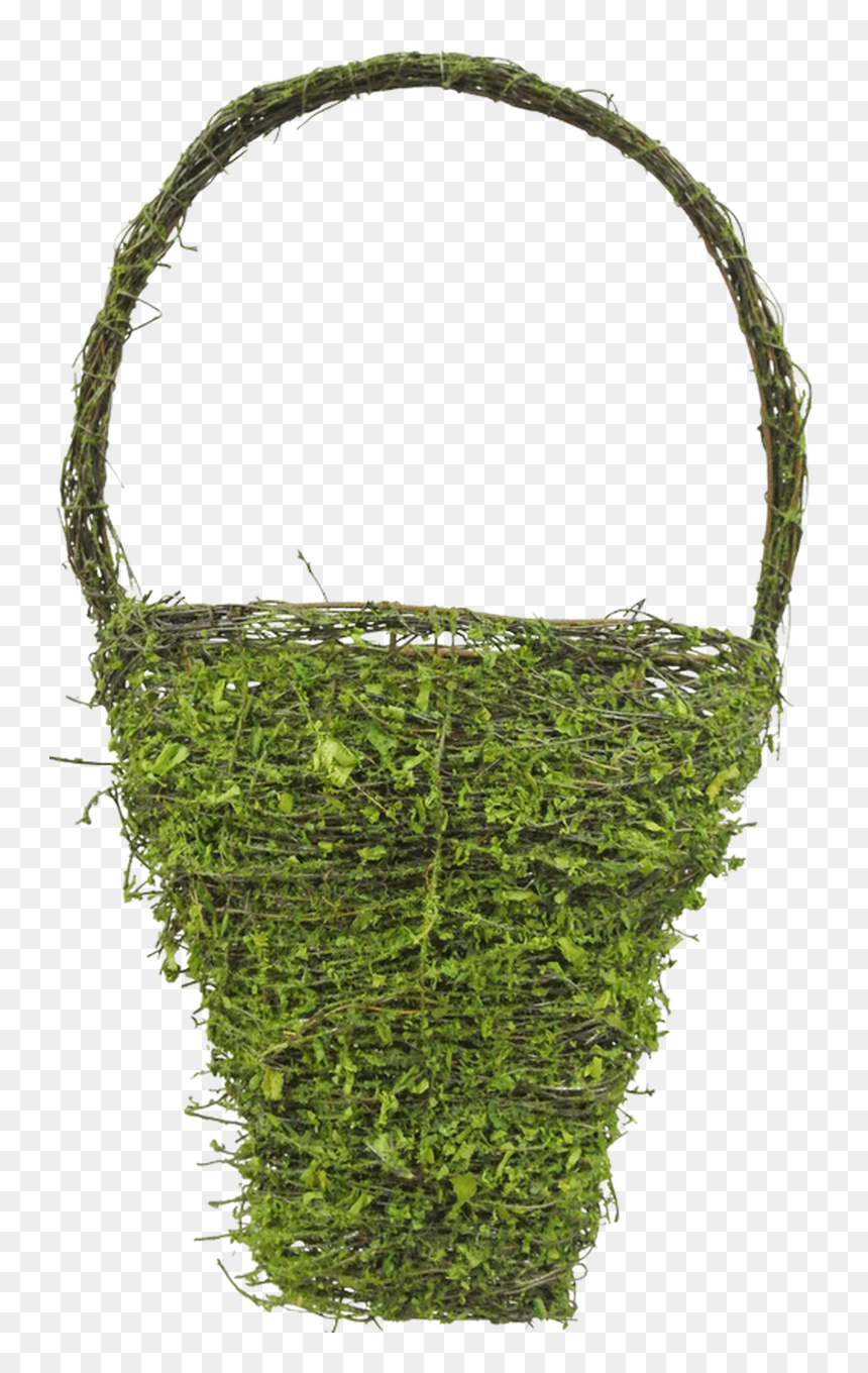 18 - Moss, HD Png Download - vine wall png