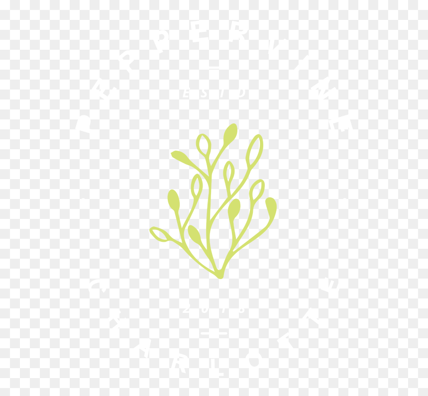Peppervine Restaurant - Illustration, HD Png Download - vine wall png