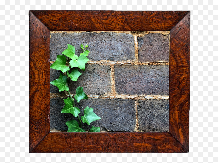 Wall, HD Png Download - vine wall png