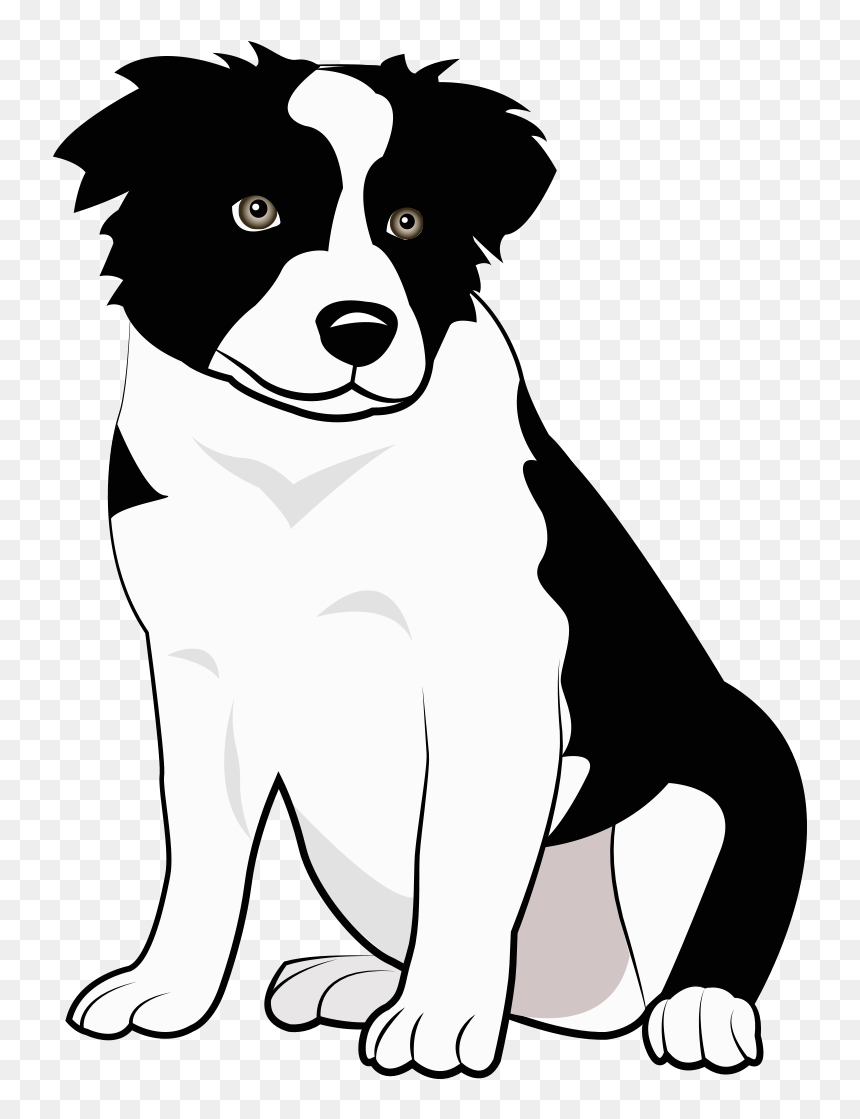 Breed,canidae,border Shepherd,companion Dog,working - Collie Pup Art, HD Png Download - border collie png