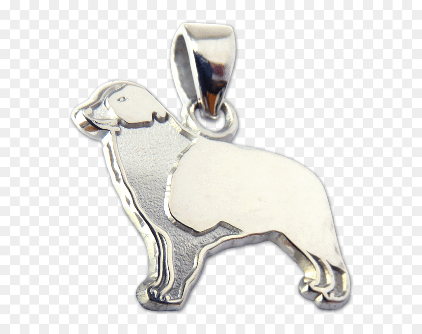 Border Collie Charm Pendant - Pug, HD Png Download - border collie png