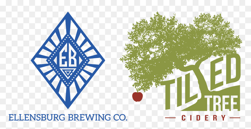 Ellensburg Brewery & Tilted Tree Cidery - Tree, HD Png Download - tilted kilt logo png