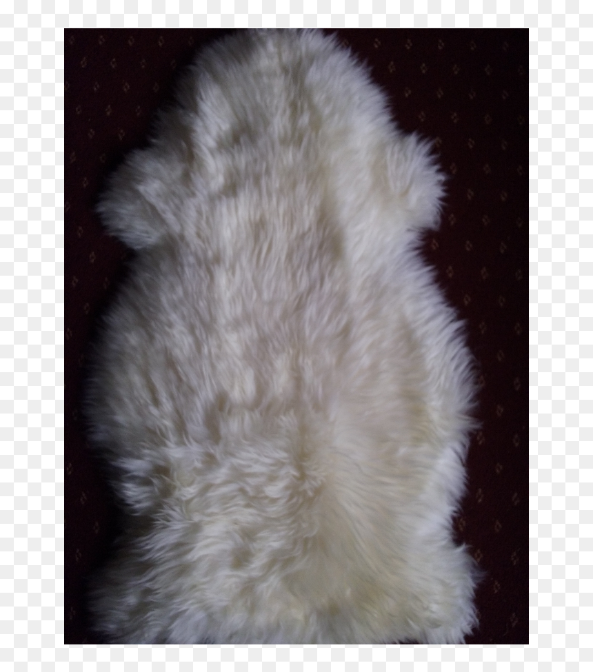 Fur Clothing, HD Png Download - fur rug png