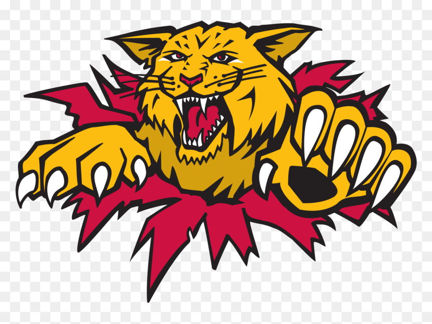 Moncton Wildcats Logo, HD Png Download - wildcats png