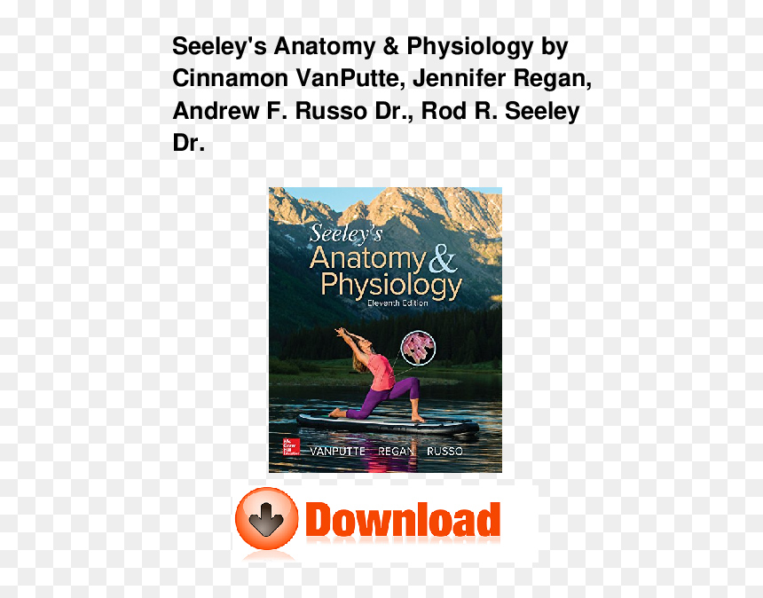 Seeley's Anatomy & Physiology, HD Png Download - seel png