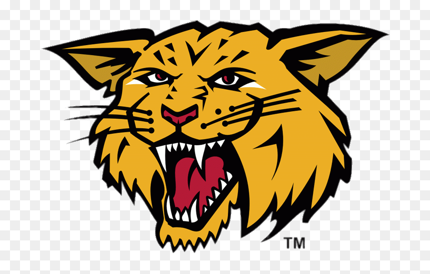 Moncton Wildcats Mascotte - Moncton Wildcats, HD Png Download - wildcats png