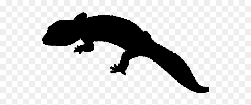 Reptile Lizard Common Leopard Gecko - Reptile Silhouette Leopard Gecko, HD Png Download - reptile png
