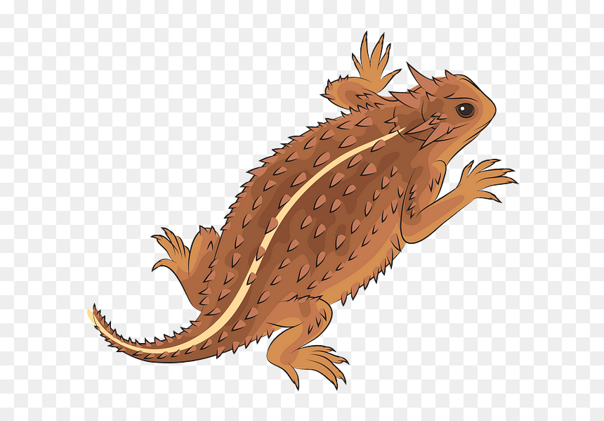 Illustration, HD Png Download - reptile png