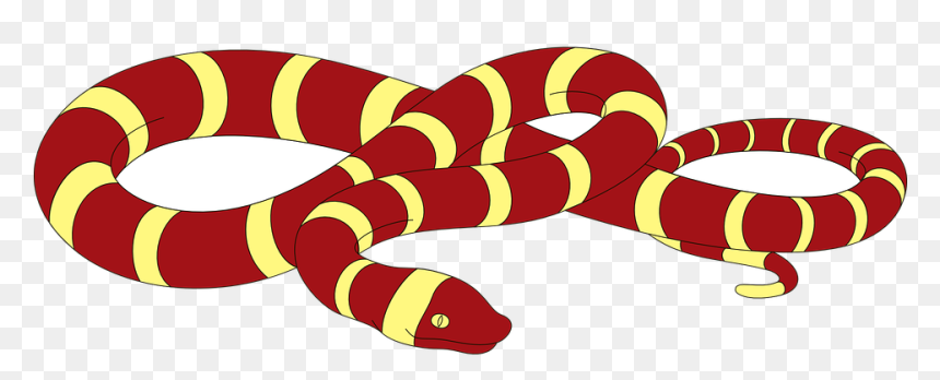 Transparent Snake Clipart - Snakes Clip Art, HD Png Download - reptile png