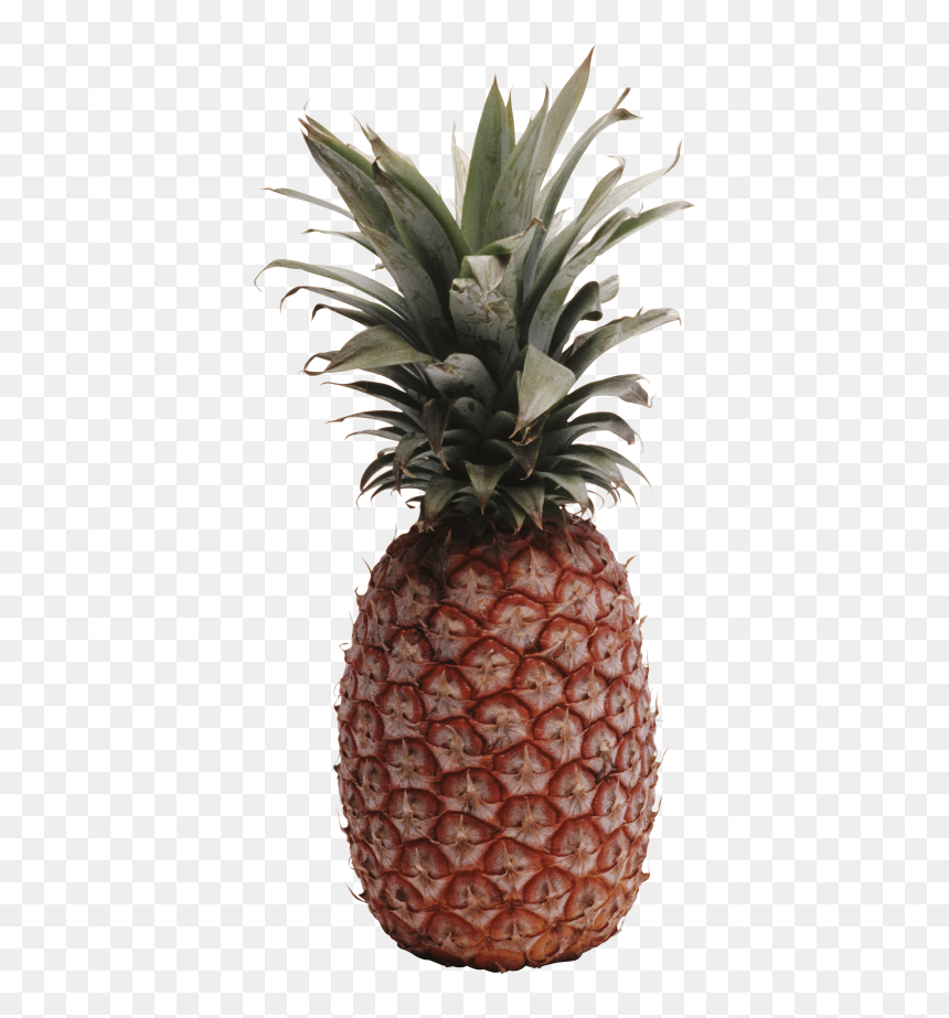 Pineapple Png Image Download"
								 Title= - Pineappls Print Decor, Transparent Png - the amazing world of gumball png