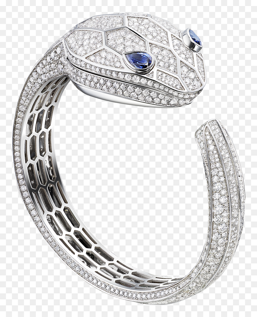Reptile Png, Transparent Png - reptile png