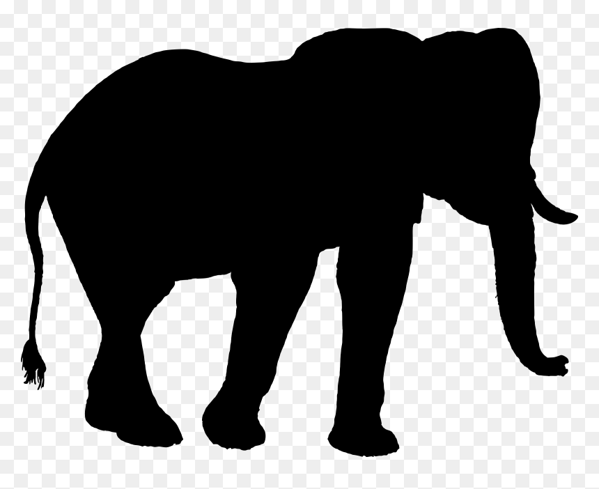 Indian Elephant African Elephant Silhouette Clip Art - Elephant, HD Png Download - indian elephant png