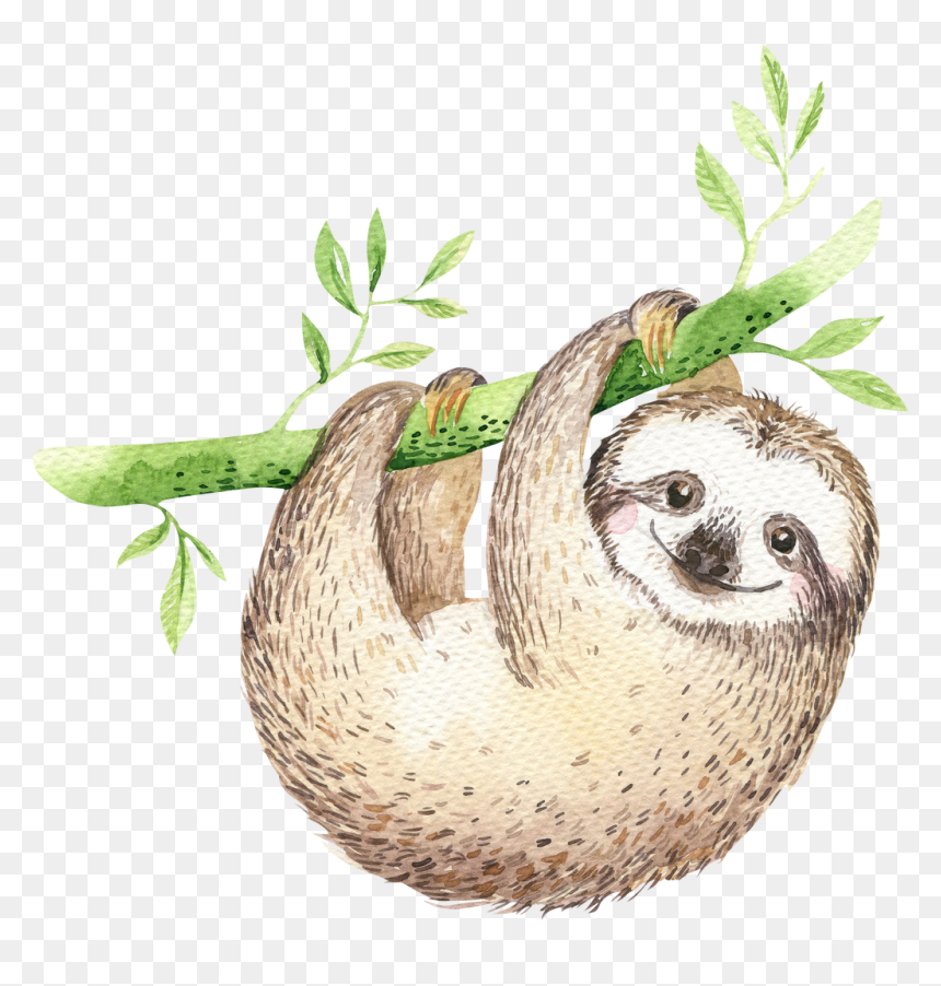 Dont Give Up Poster, HD Png Download - sloth face png