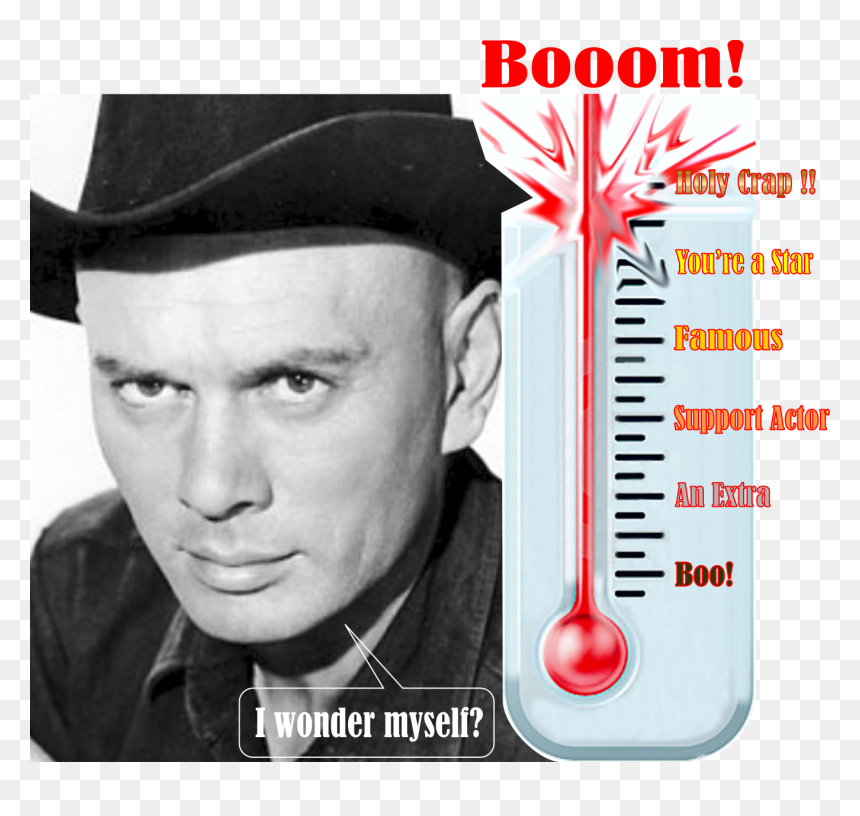 The Magnificent 7 2016 Yul Meter - Magnificent Seven, Yul Brynner, 1960, HD Png Download - denzel washington png