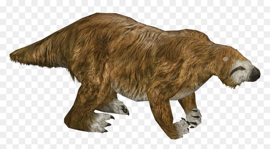 Grizzly Bear, HD Png Download - sloth face png
