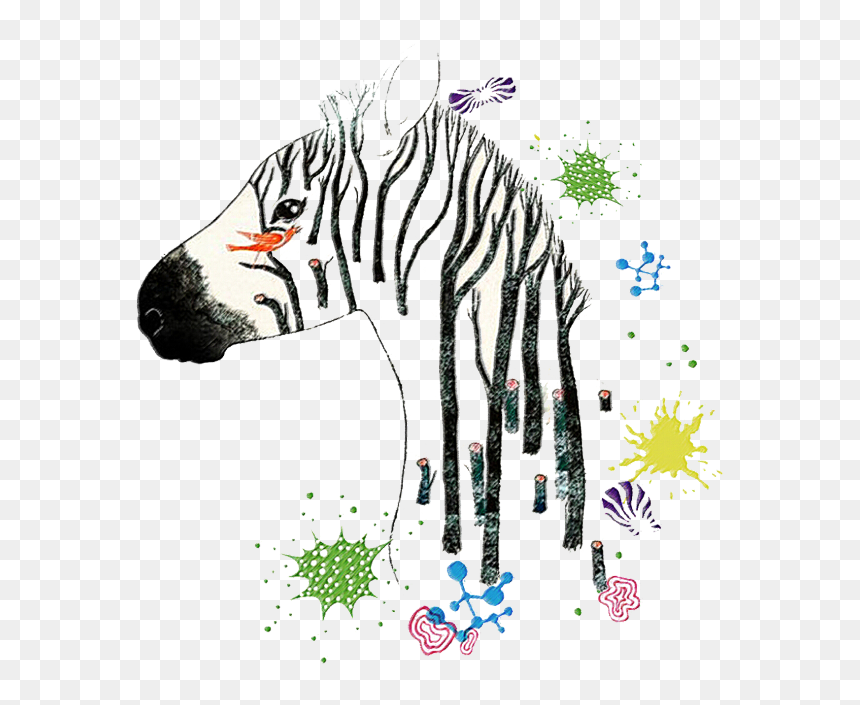 #zebra #zebraprint #zebrahead #zebrastyle #zebracross - Illustration Art Animal, HD Png Download - zebra head png