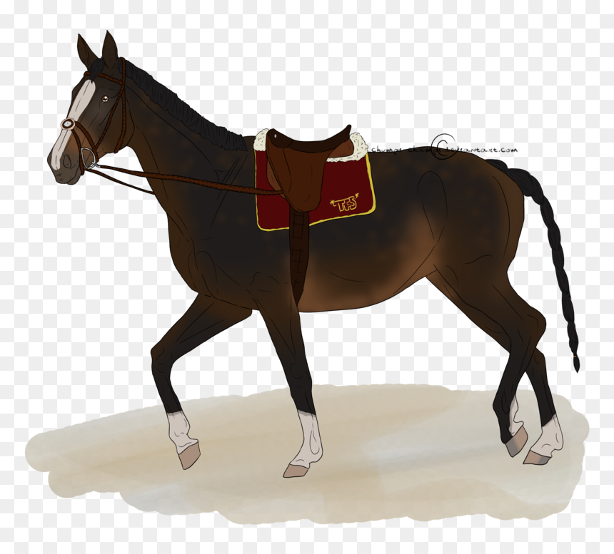 Mule Horse Silhouette - Horse, HD Png Download - moscow mule png
