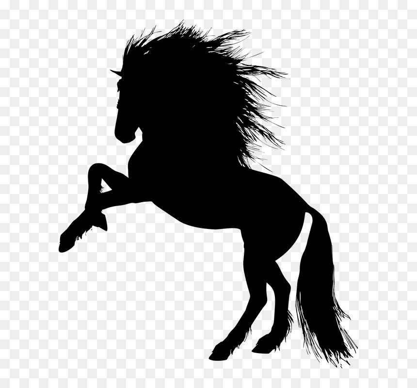 Animal, Equine, Rearing, Horse, Silhouette, Ride - Rearing Unicorn, HD Png Download - rearing horse png
