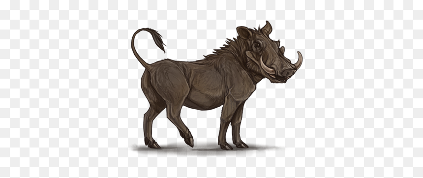 Common Warthog Lion Pig Hyena Mane - Warthog Png, Transparent Png - lion mane png