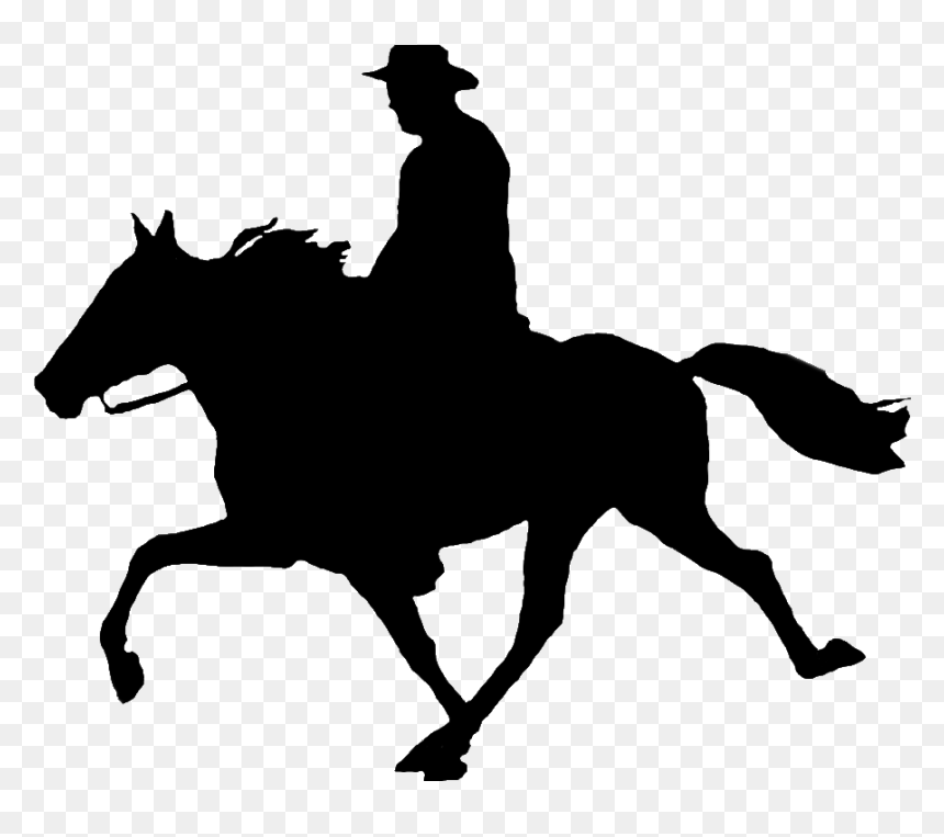 Silhouette Of A Horse On Hind Legs Rearing - Stallion, HD Png Download - rearing horse png