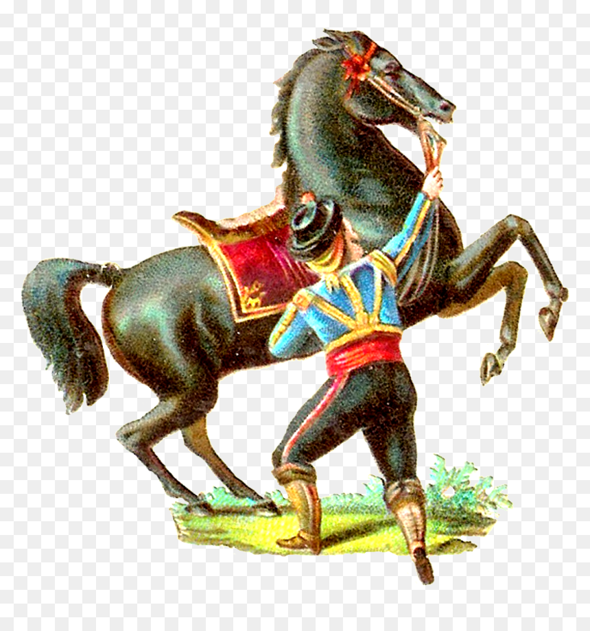 Transparent Horse - Stallion, HD Png Download - rearing horse png