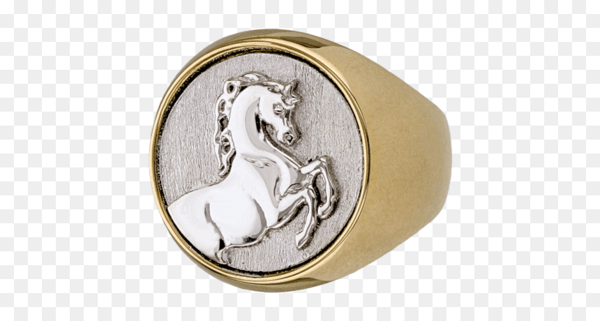 Stallion, HD Png Download - rearing horse png