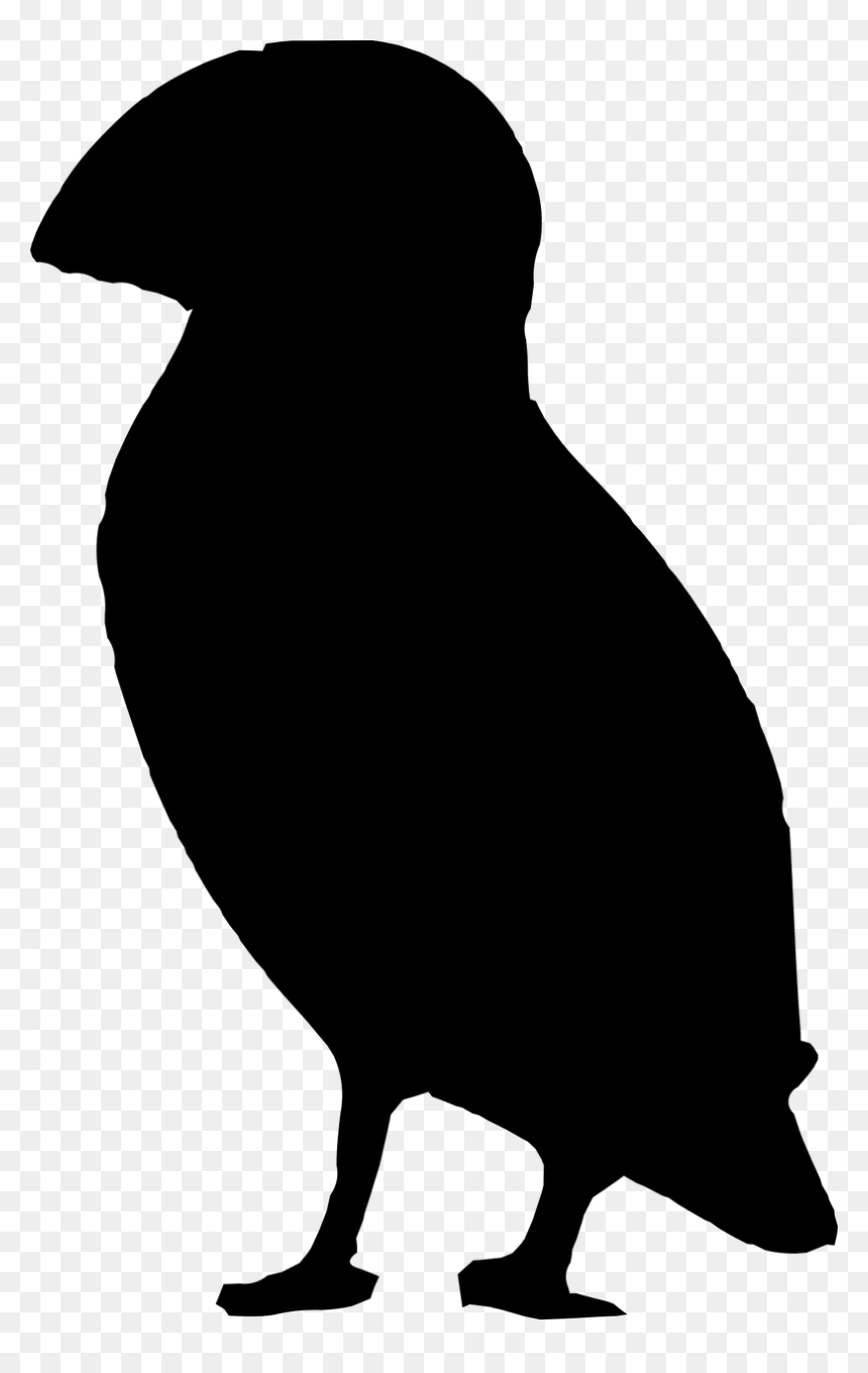 Puffin Silhouette Free, HD Png Download - puffin png