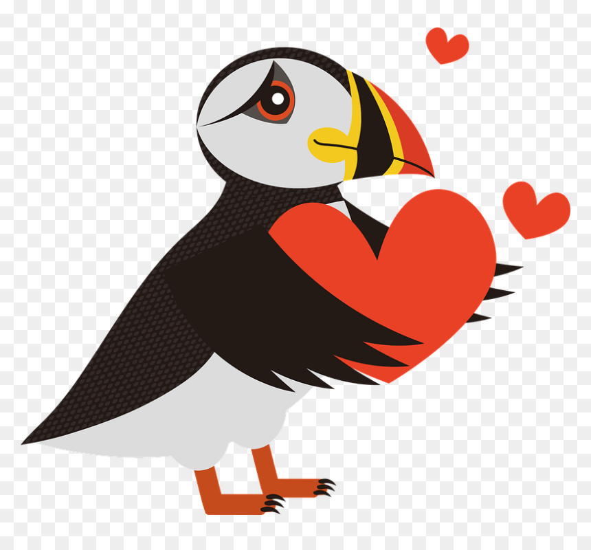 Puffin, Bird, Sea, Birds, Animal, Iceland, Waterfowl - Puffin Vector, HD Png Download - puffin png
