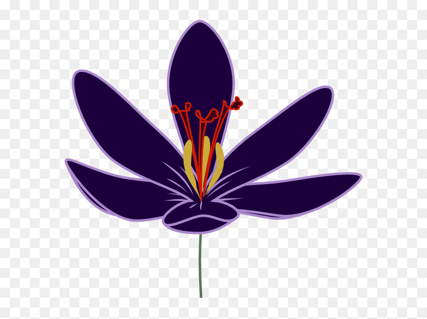 Clipart Of Barry, Crocus And Dogwood Tree - Illustration, HD Png Download - dogwood tree png
