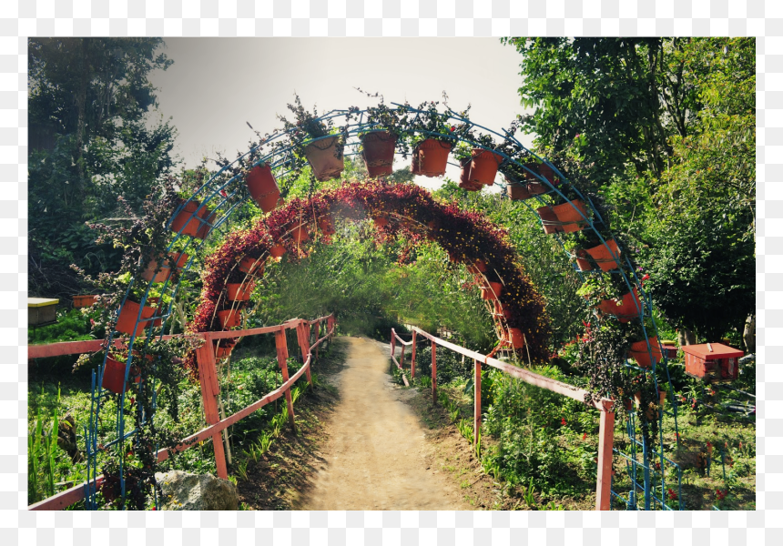 Arch, HD Png Download - flower arch png