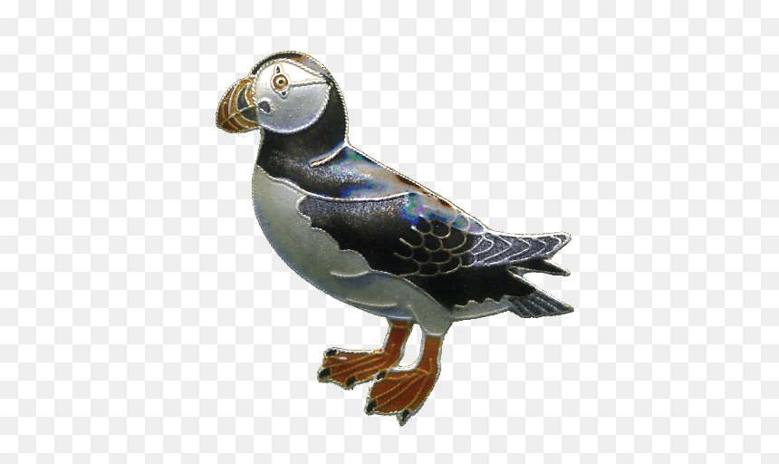 0046pin, HD Png Download - puffin png