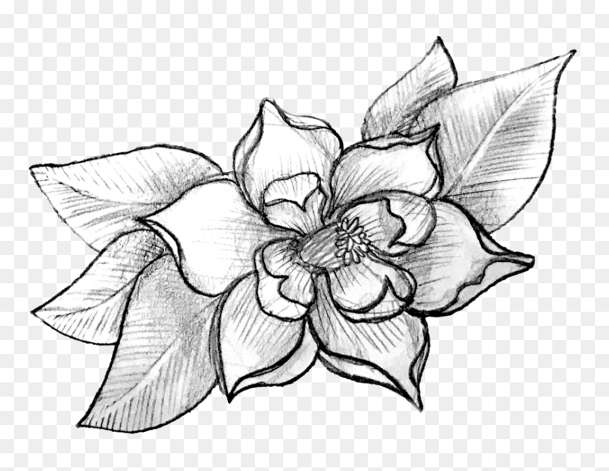 Art Corrie Clark - Orchid, HD Png Download - dogwood tree png