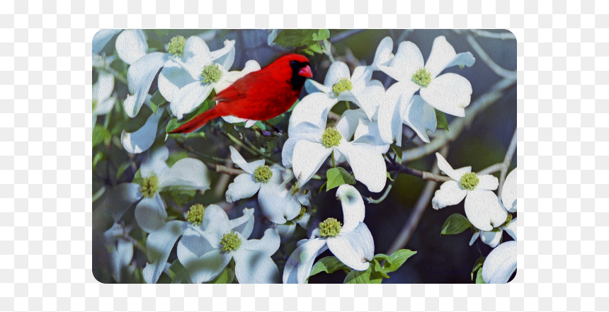Company In The Dogwood Tree Doormat 30"x18" - Indigo Bunting, HD Png Download - dogwood tree png