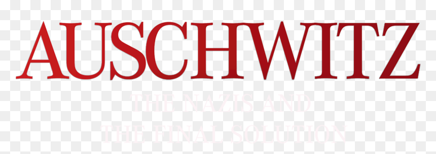 Viterbo University, HD Png Download - nazi cap png