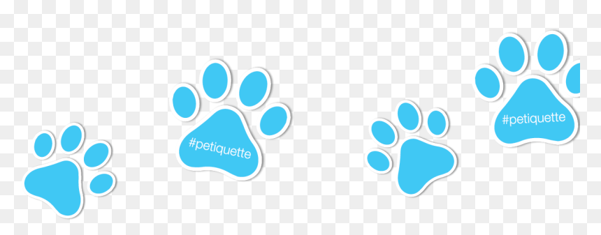 Never Trust A Person That Doesn T Like Cats, HD Png Download - febreze png