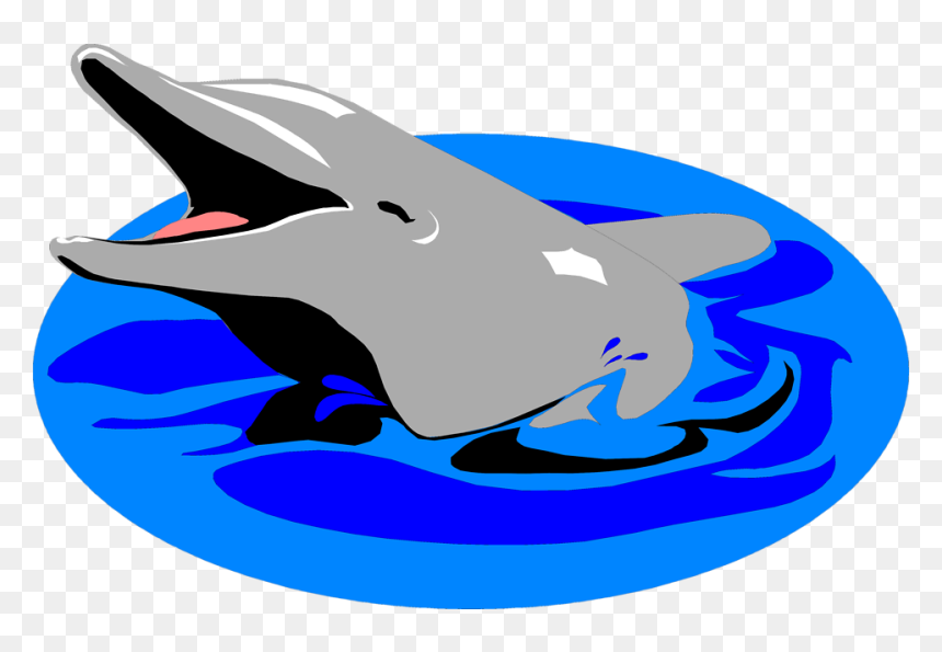 Dolphin In Water Clipart, HD Png Download - under water png