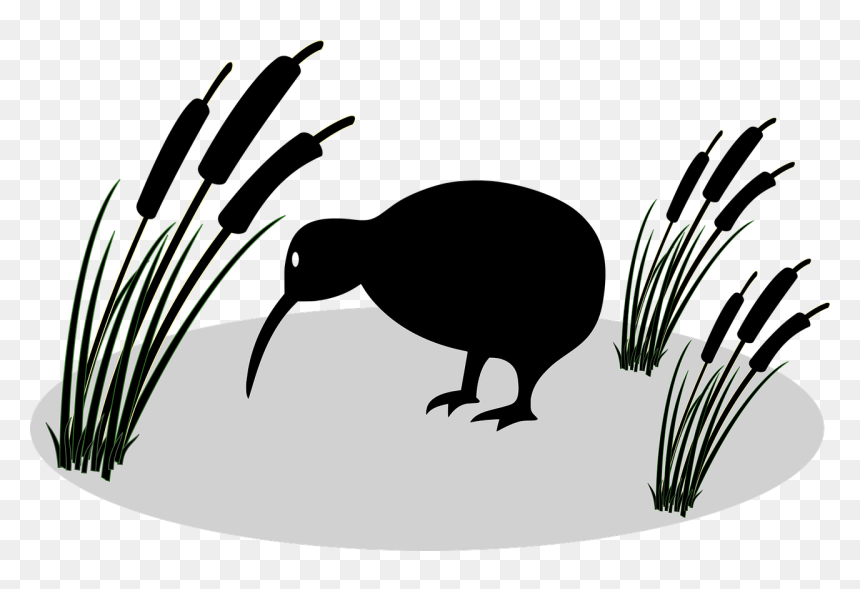 Transparent Kiwi Bird, HD Png Download - reed png