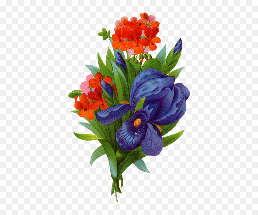 Transparent Clipart Image Bouque Png Image - Flower, Png Download - geranium png