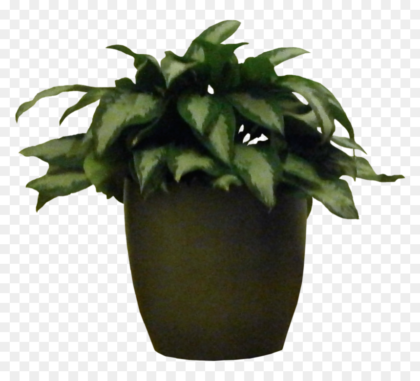 Plants Clipart Indoor Plant - Plants For Photoshop Png, Transparent Png - indoor plants png