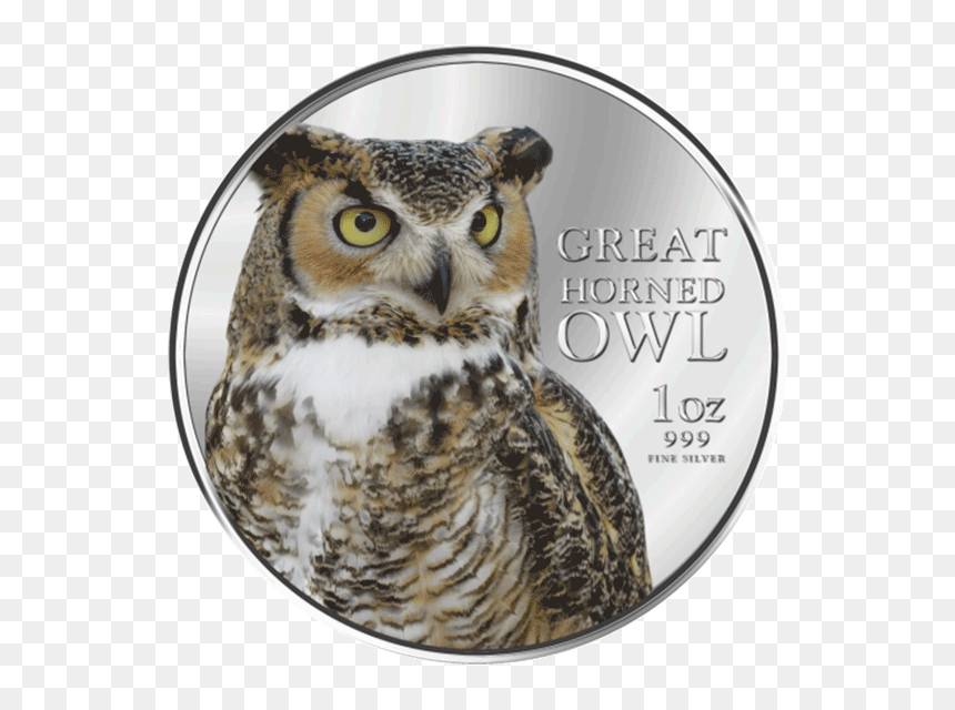Niue 2013 2$ Great Horned Owl Birds Of Prey Proof Silver - Bird Of Prey, HD Png Download - great horned owl png
