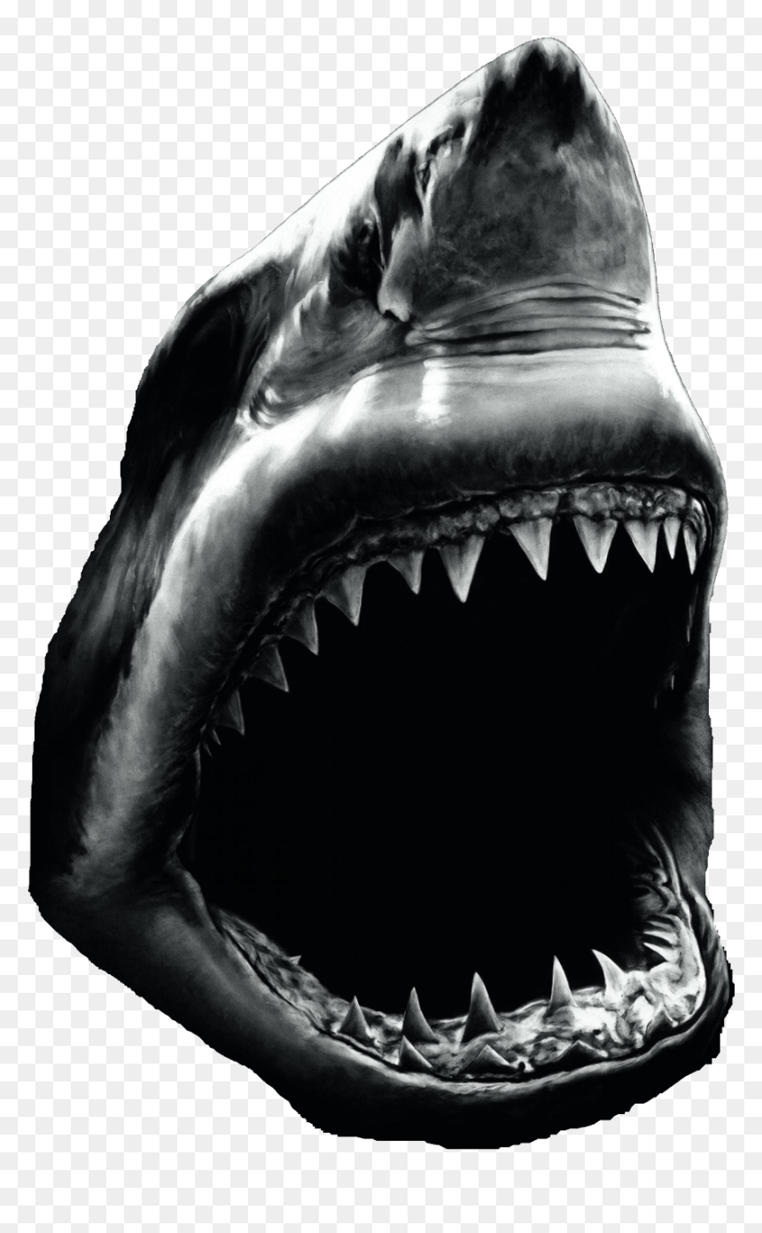 High Contrast Black And White Photos Of Animals, HD Png Download - rocky horror lips png