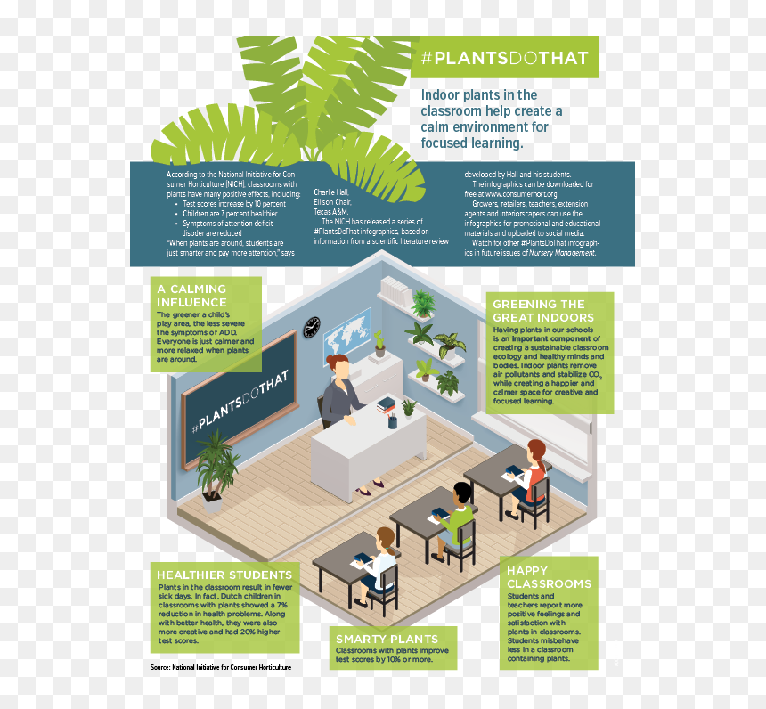 Brochure, HD Png Download - indoor plants png