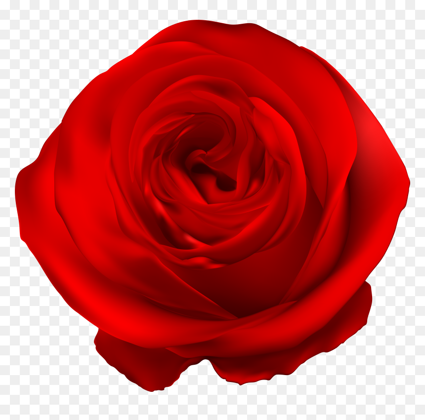 Roses Blue Clip Art, HD Png Download - rose garden png