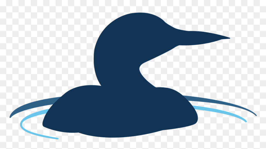 Duck, HD Png Download - lake water png