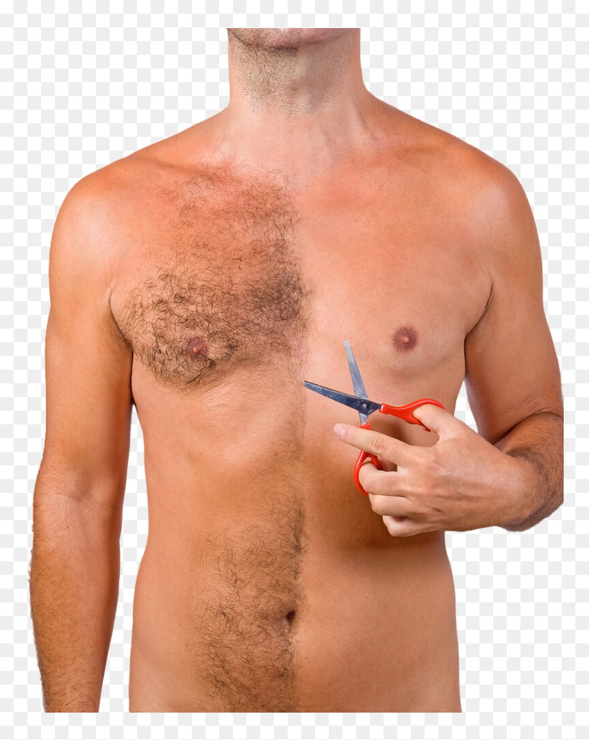 Body Hair Transplant In India - Reduce Body Hair Male, HD Png Download - body hair png