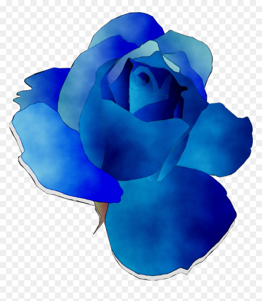 Blue Rose Garden Roses Cut Flowers - Floribunda, HD Png Download - rose garden png